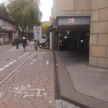 1,5 Zi 43 Qm Im Zentrum Von Plochingen, Frisch Renoviert Und Voll Ausgestattet *