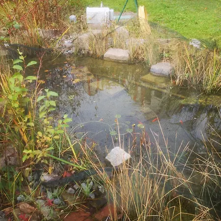 1,5 Zi 43 Qm Im Zentrum Von Plochingen, Frisch Renoviert Und Voll Ausgestattet